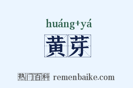 黄芽是什么意思的图片